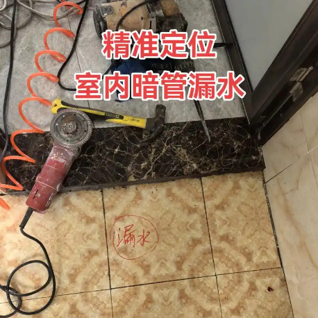 检漏服务沟通
